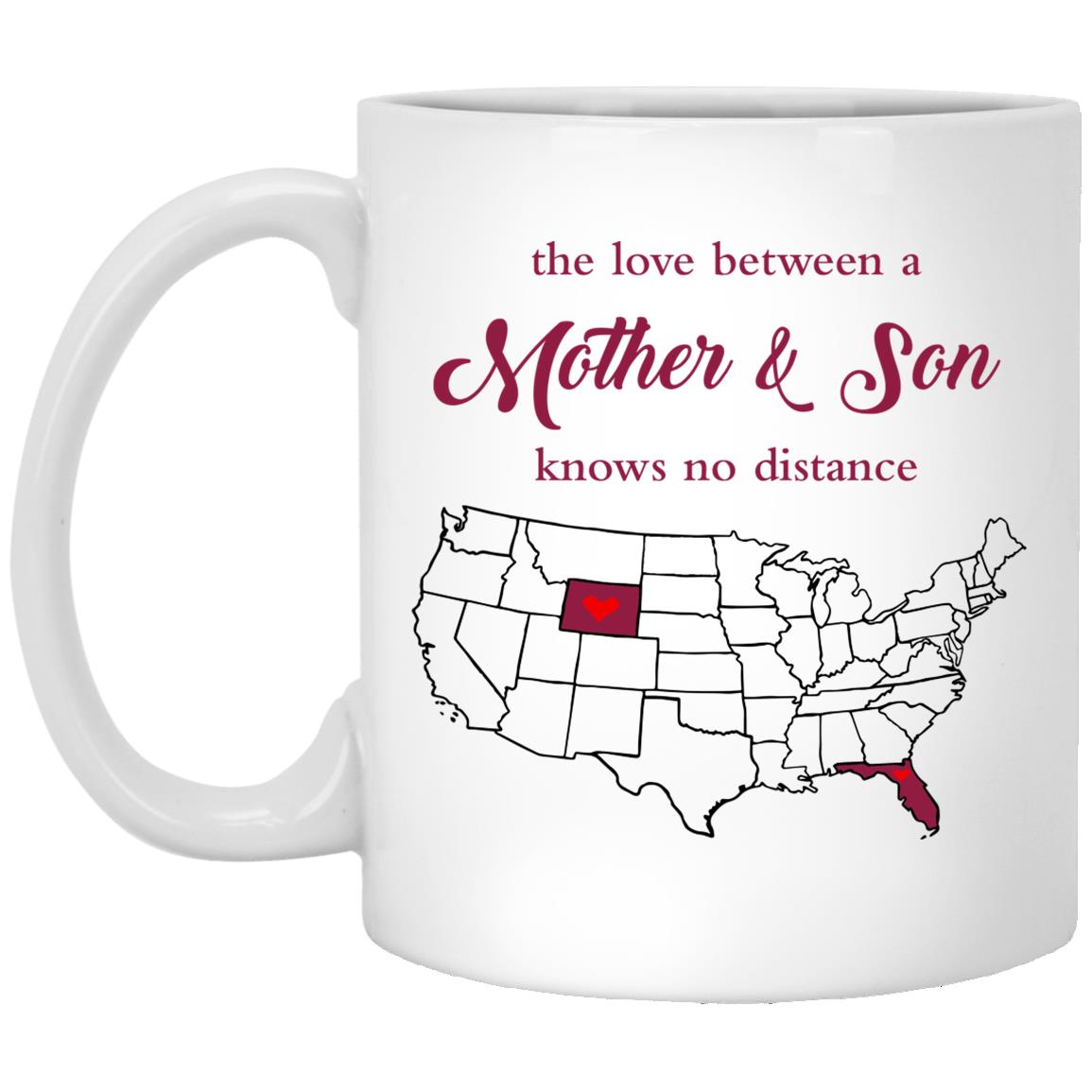 Florida Wyoming The Love Between Mother And Son Mug - Mug Teezalo