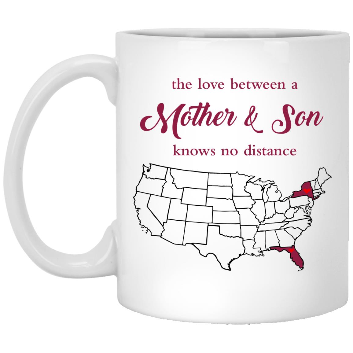 Florida New York The Love Between Mother And Son Mug - Mug Teezalo