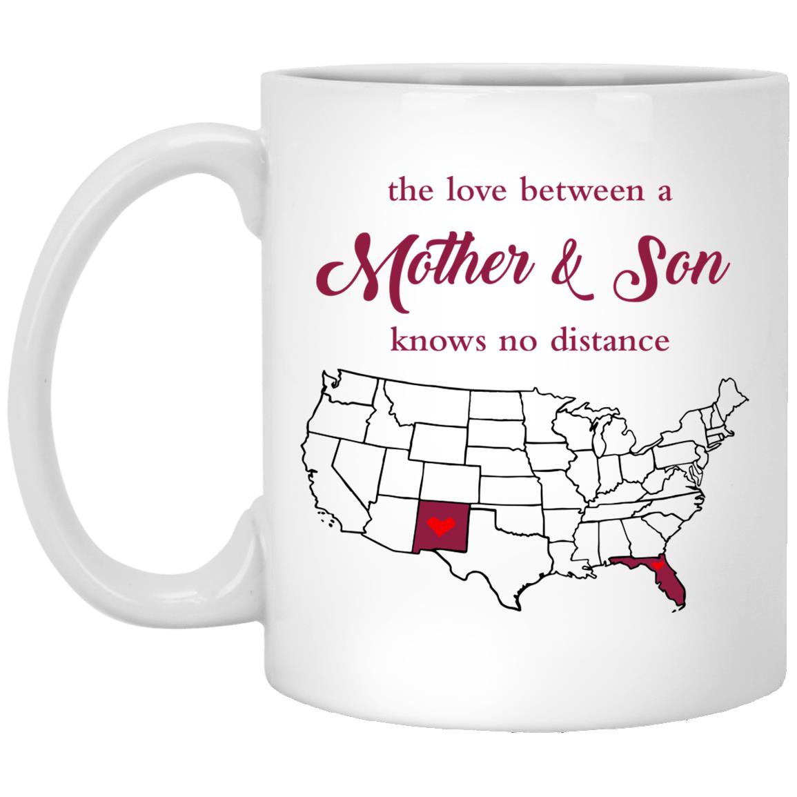 Florida New Mexico The Love Between Mother And Son Mug - Mug Teezalo