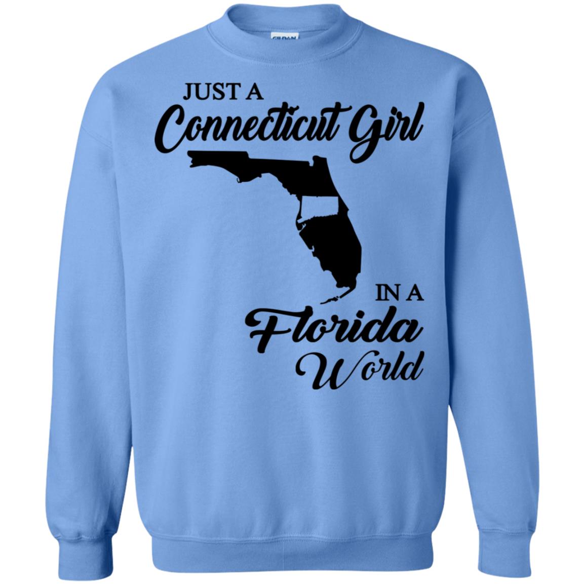 Just A Connecticut Girl In A Florida World T Shirt - Hoodie Teezalo